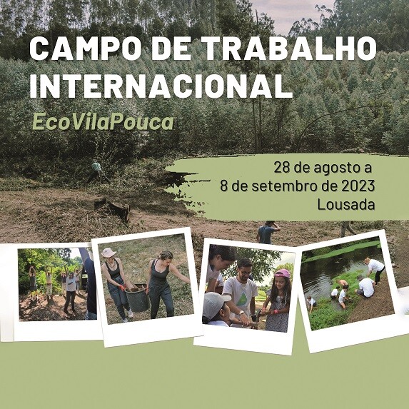 Campo de Voluntariado Internacional “EcoVilaPouca”