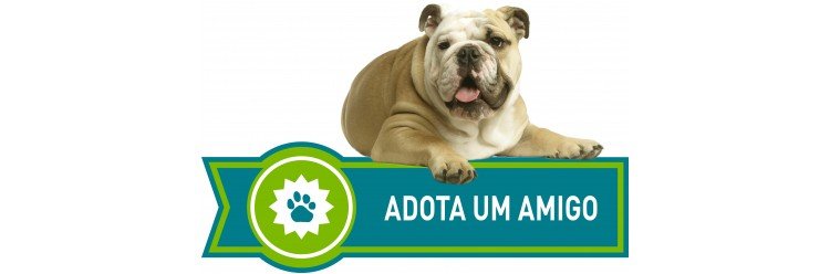 Câmara lança campanha “Adota um amigo”