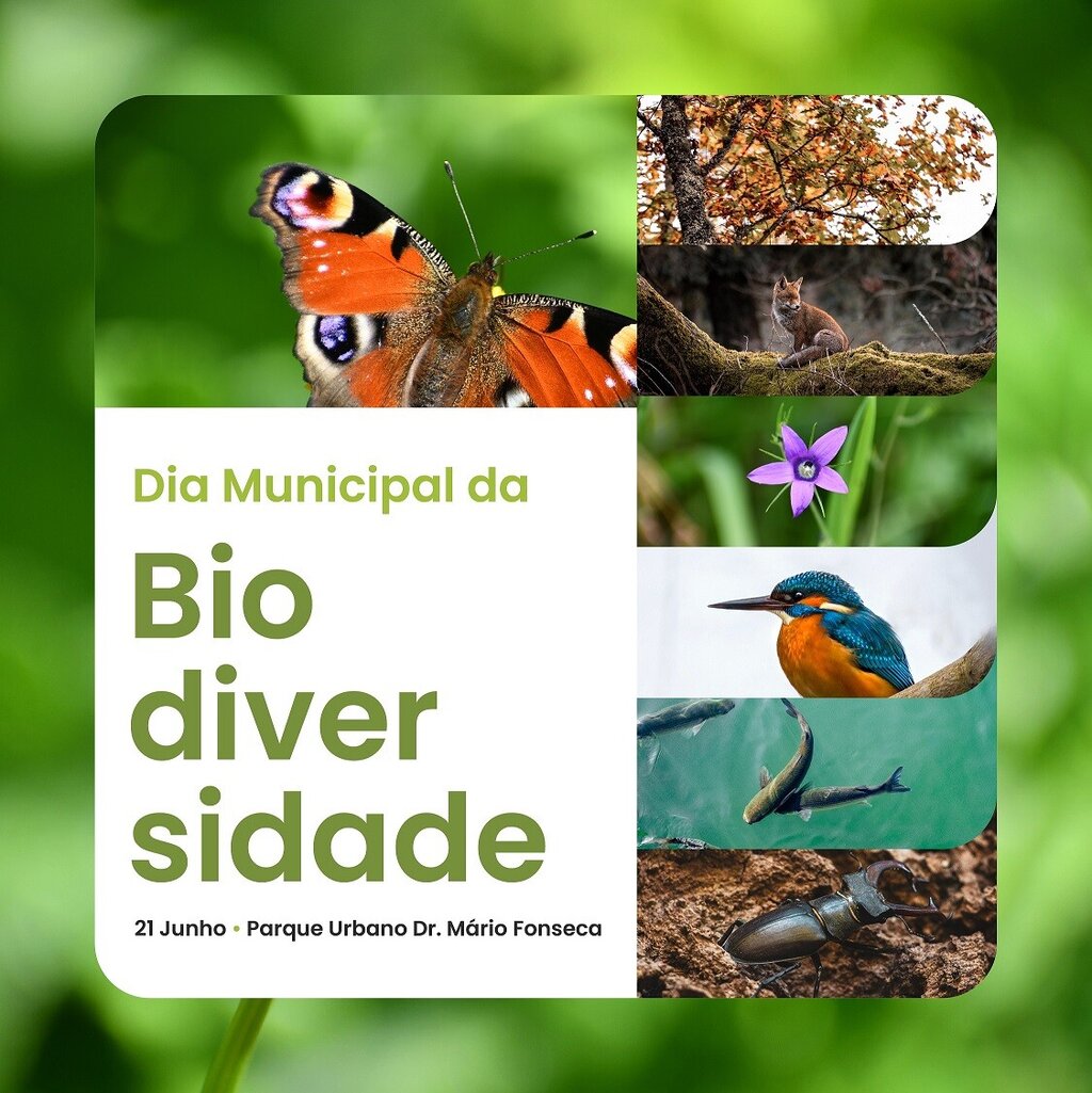 Dia Municipal da Biodiversidade no Parque Urbano Dr. Mário Fonseca