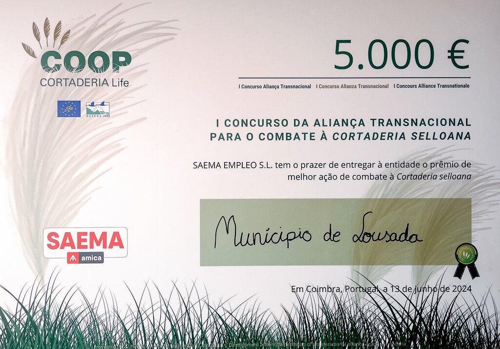 Lousada vence Concurso da Aliança Transnacional
