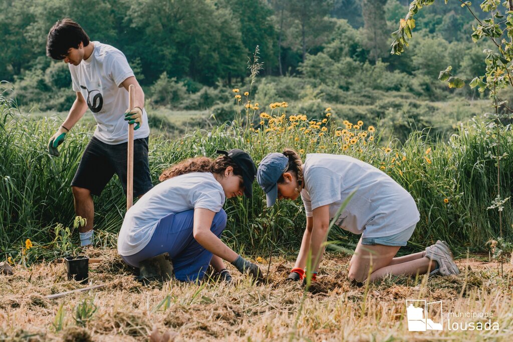 Lousada no pódio europeu de árvores plantadas em Portugal