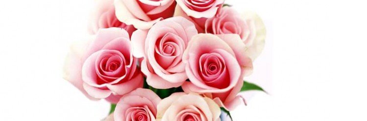 Festa das Rosas no sábado e domingo