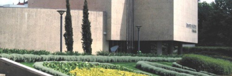 Animação na Biblioteca em tempo de férias