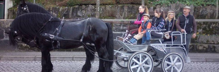 Feira das Oitavas e Feira do Cavalo