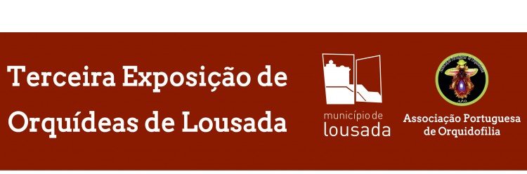 Exposição de Orquídeas de Lousada sábado e domingo