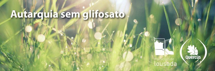 Autarquia de Lousada não usa herbicidas nos espaços públicos