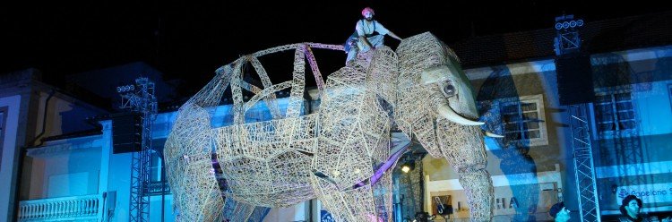Agradecimento A Viagem do Elefante