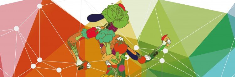 Falar de nutrição no desporto
