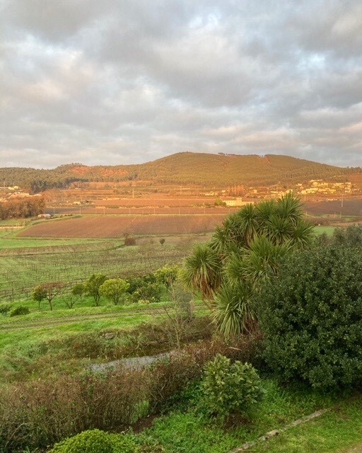 Quinta da Magantinha (Alojamento Local)