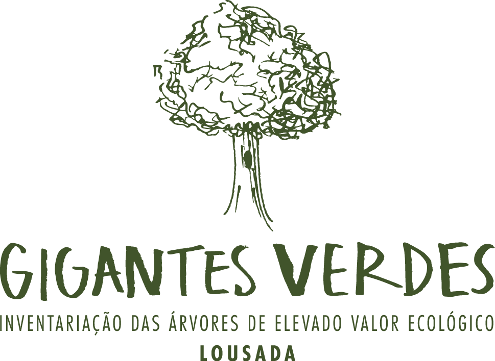 gigantes_verdes_web