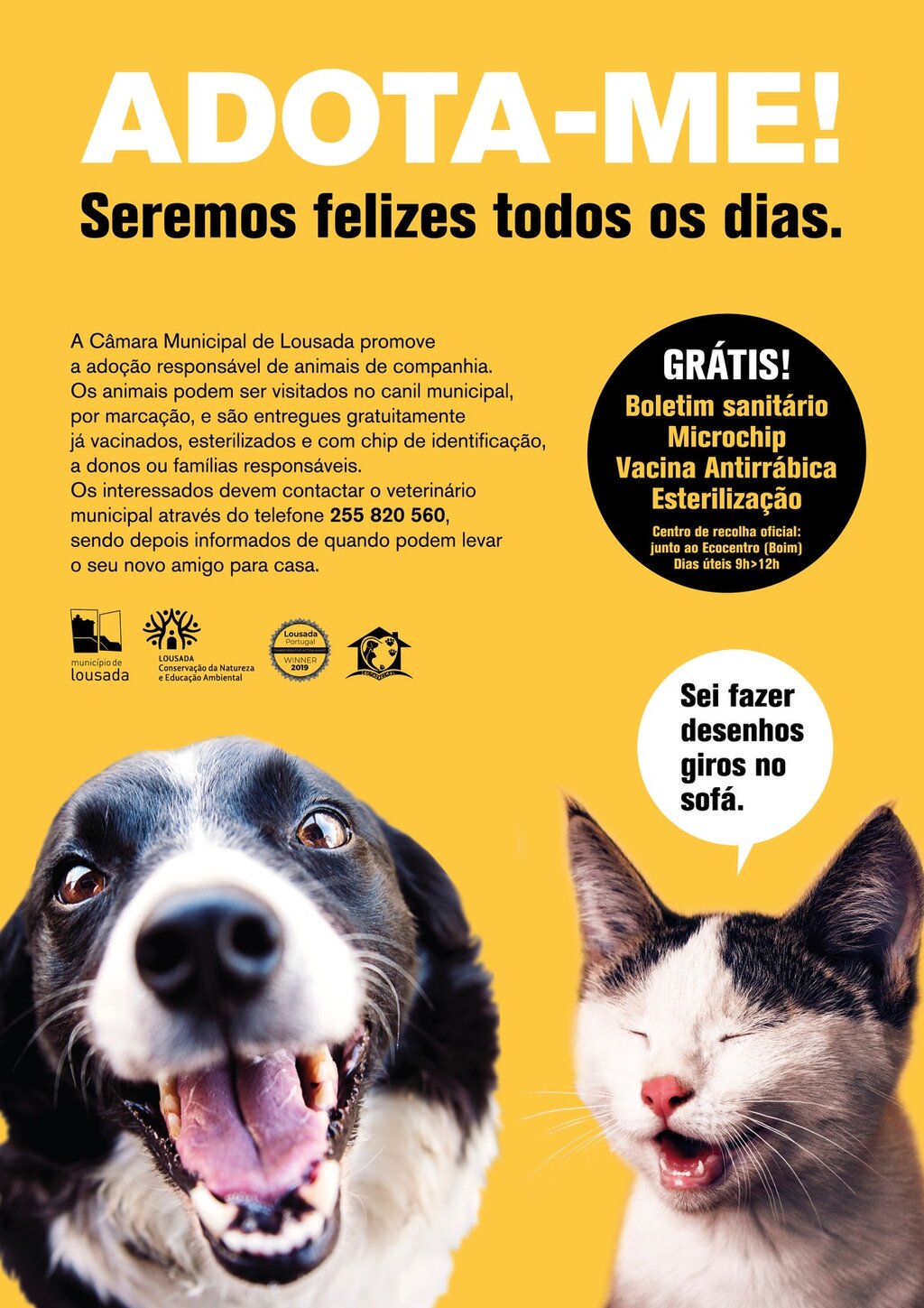 2020_Campanha Animais_A3