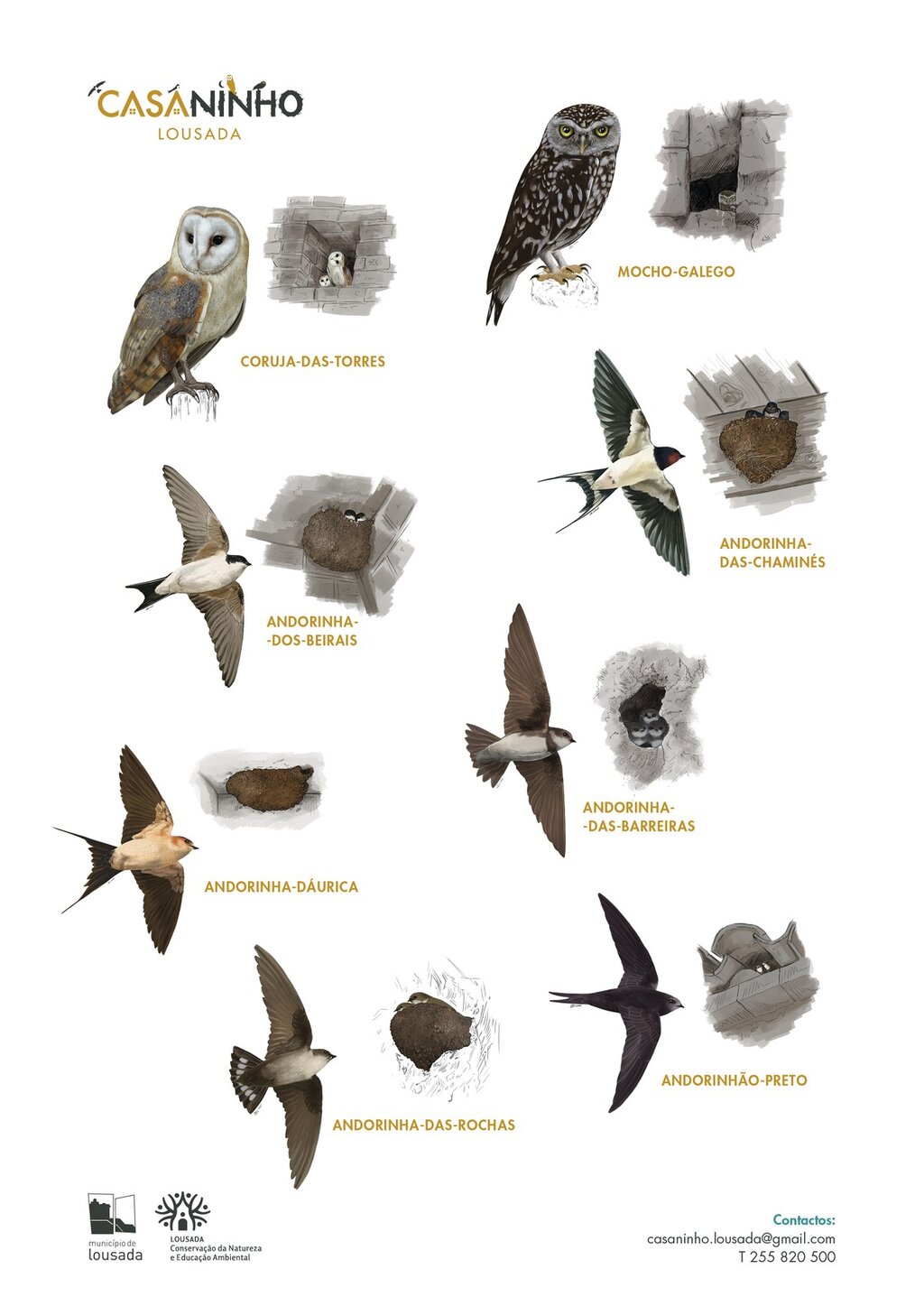 2019_casa_ninho_aves2