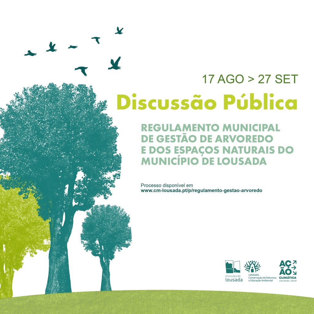 discussao publica_ficheiro_revista_n_2
