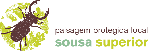 2019_PPLSS_Marca 1
