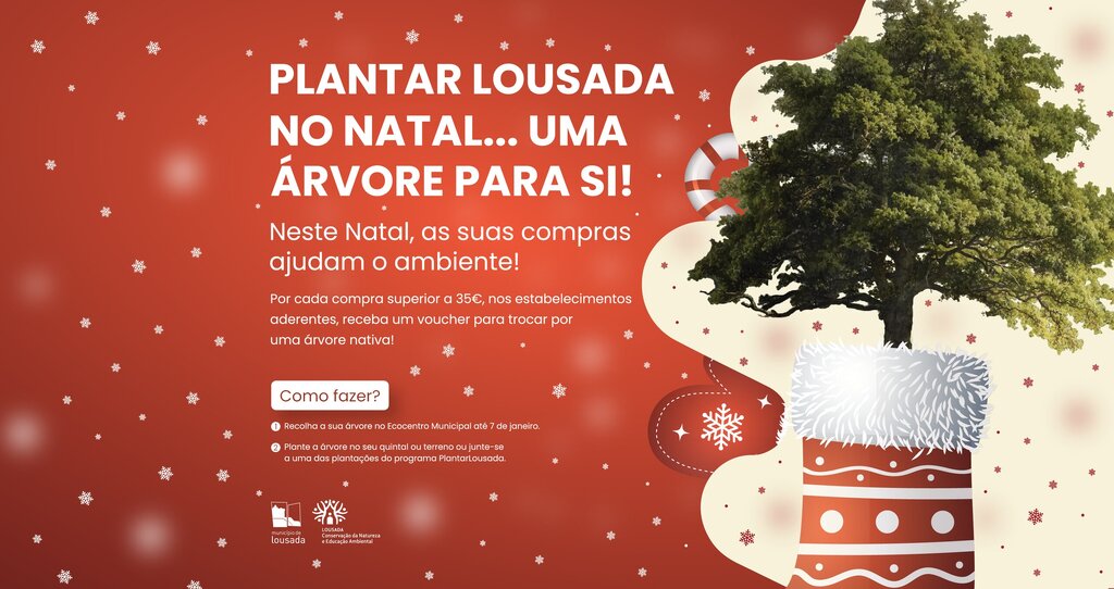Cartaz Natal Formato Website